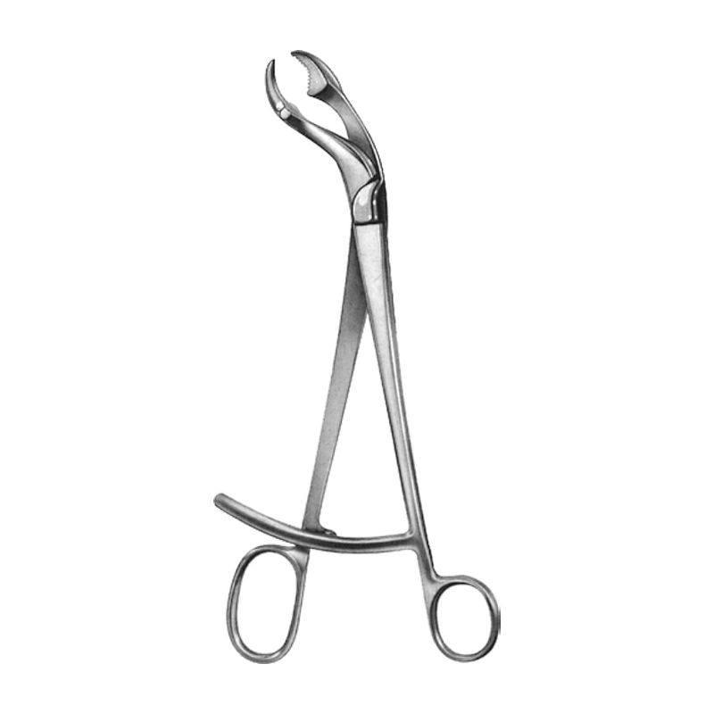 Verbrugge Bone Holding Forceps, 25 cm