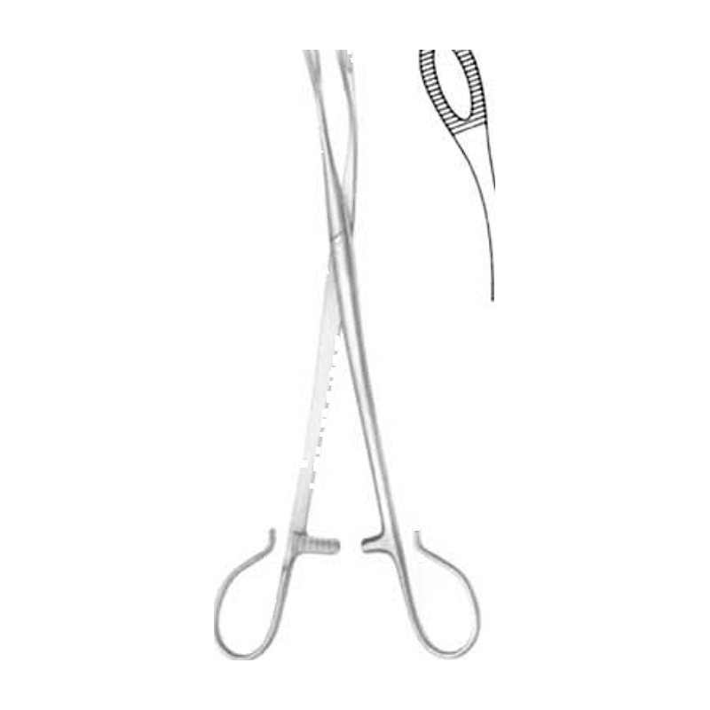 Blohmke Tonsil Forceps, 20 cm
