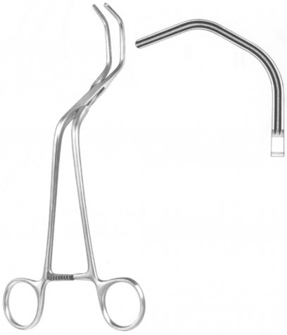 Dietrich Aortic Forceps 22 cm
