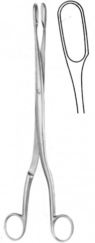Winter Ovum Forceps (Fig.2) Cur. 28 cm
