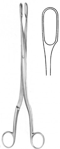Winter Ovum Forceps (Fig.3) Cur. 28 cm

