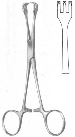 Lahey Grasping Forceps 15 cm
